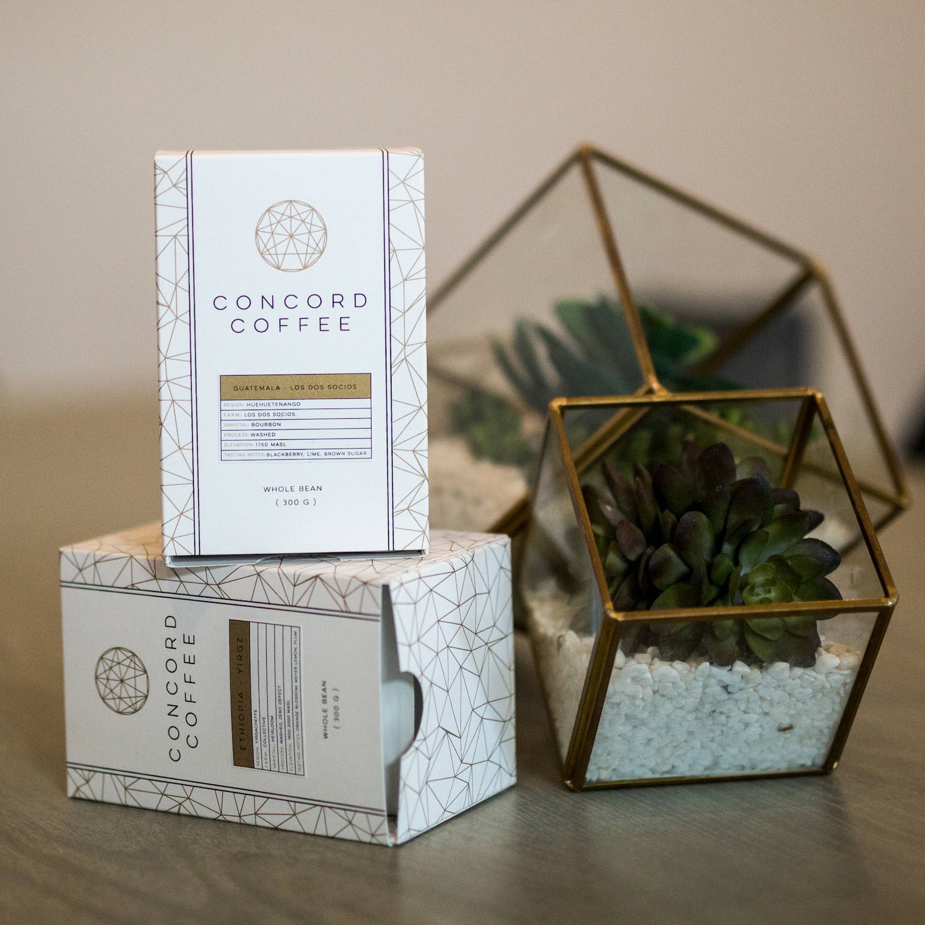 Clean Lines and a Simple Font Make Concord Coffee So Elegant