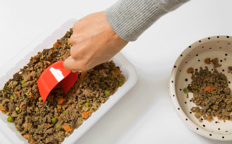 Ollie, The Blue Apron For Your Dog