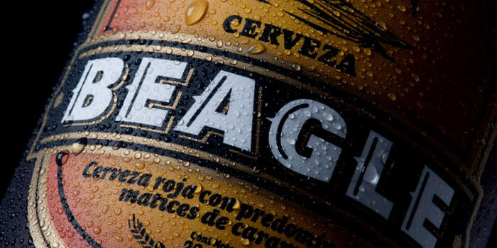 Cerveza Beagle