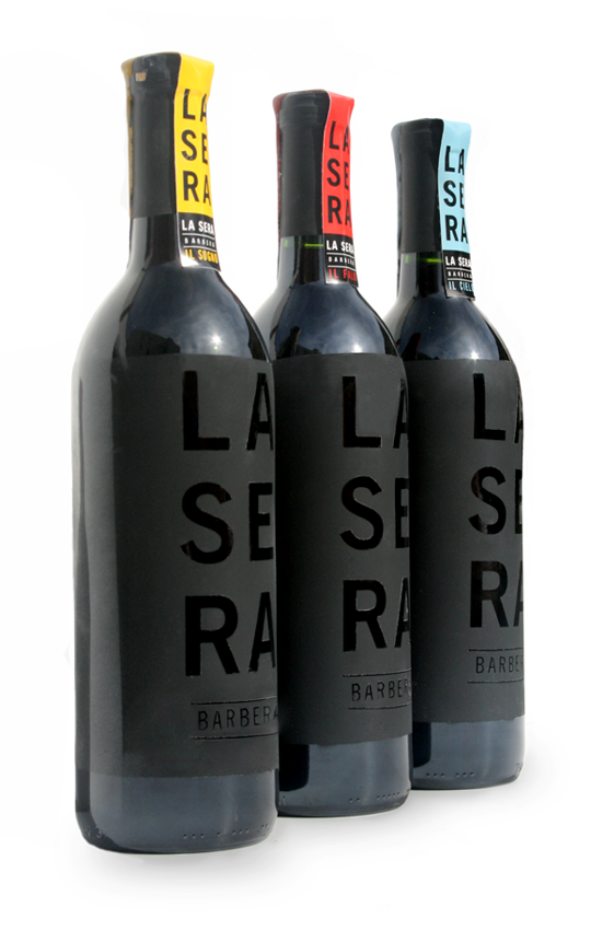 Student Spotlight: Emily Kowzan