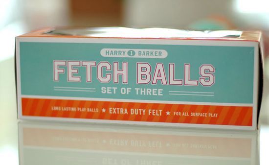 Harry Barker Fetch Balls