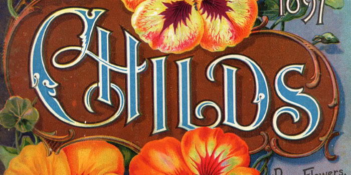 Vintage Packaging: Flower Seed Packets from the 1800s