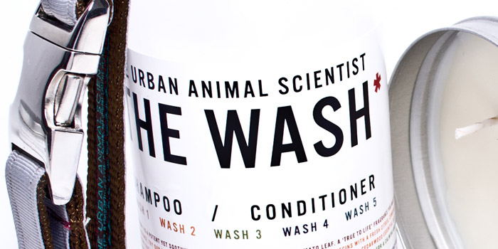 The Urban Animal Scientist