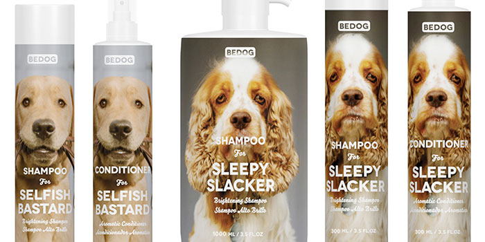 Student Spotlight: Bedog