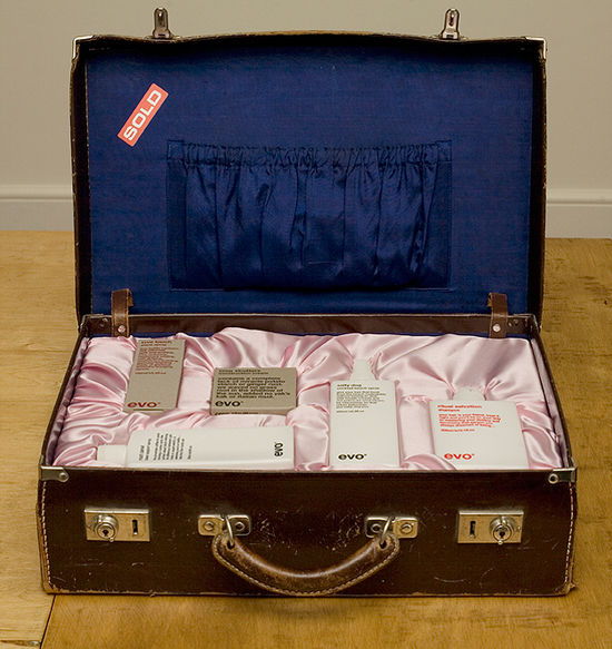 Evo_cases2