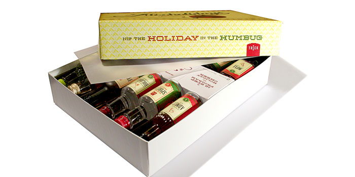 AlcoHolidays : 12 Step Program