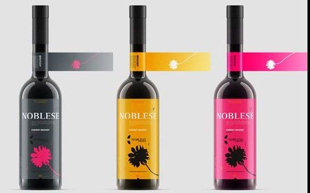 Firma – Studio Spotlight (Russia)