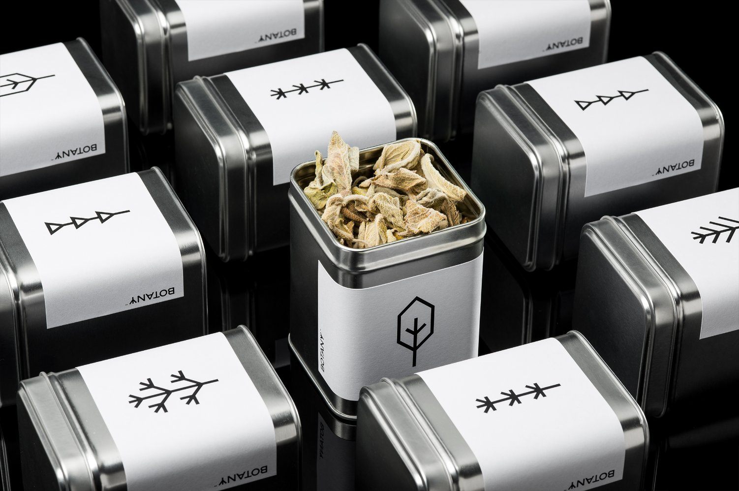 Botany Keeps It Simple