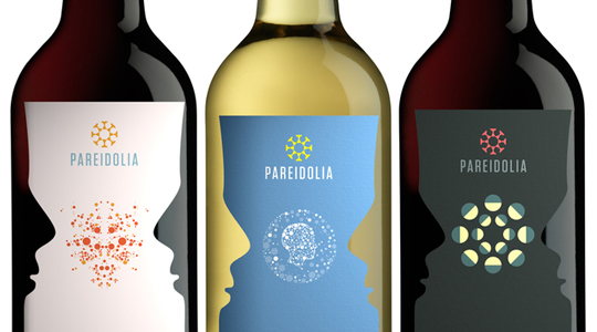 Student Spotlight: Pareidolia