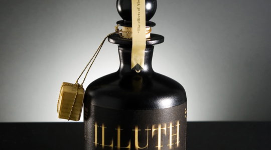 Student Spotlight: ILLUTH
