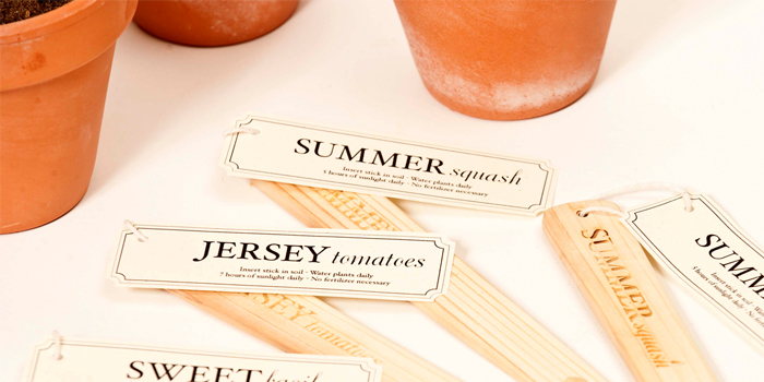 Student Spotlight:Seed Stick