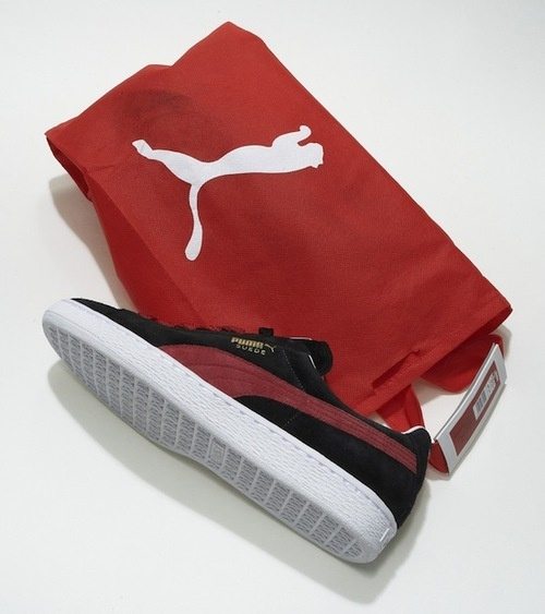 500x_PUMA_4