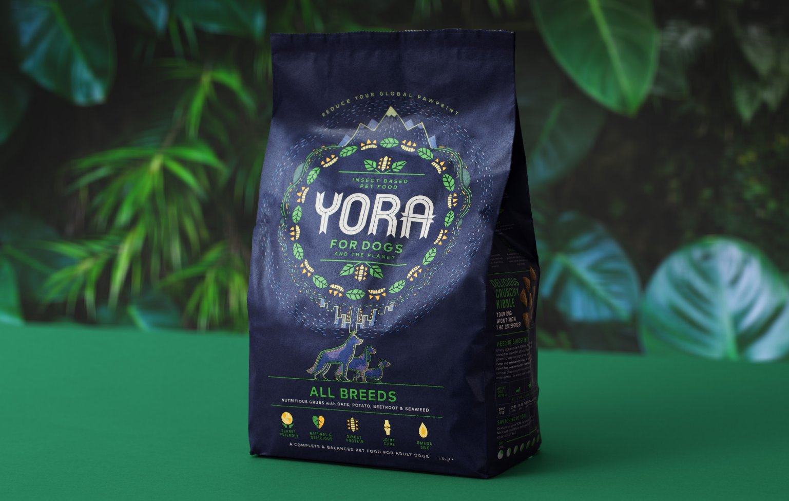 Yora Supplies A Different Type of Kibble For Your Dog