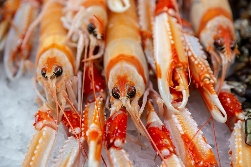 British Grocer Waitrose And Biotech Company Developing Packaging From Langoustine Shells