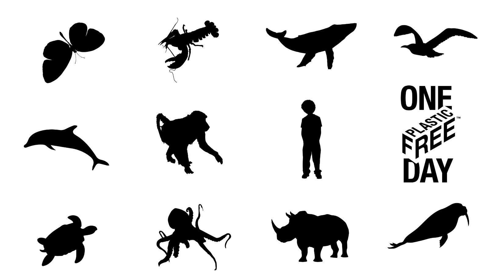 #OnePlasticFreeDay Coming June 5th, 2019