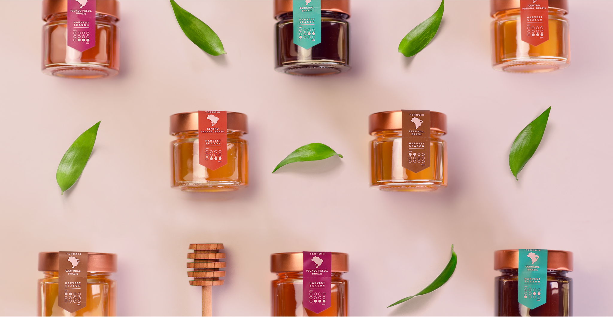 Bee Seasonal is Shining Light on the Best Honey From All Over The World