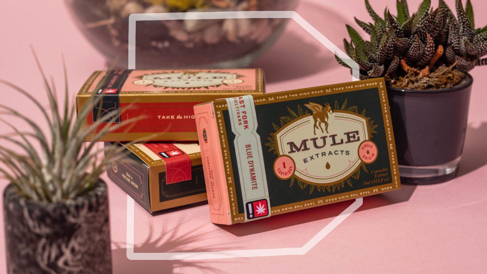 Pack of the Month: Mule Extracts Wants To Be The Workhorse That Helps You Get Chill AF