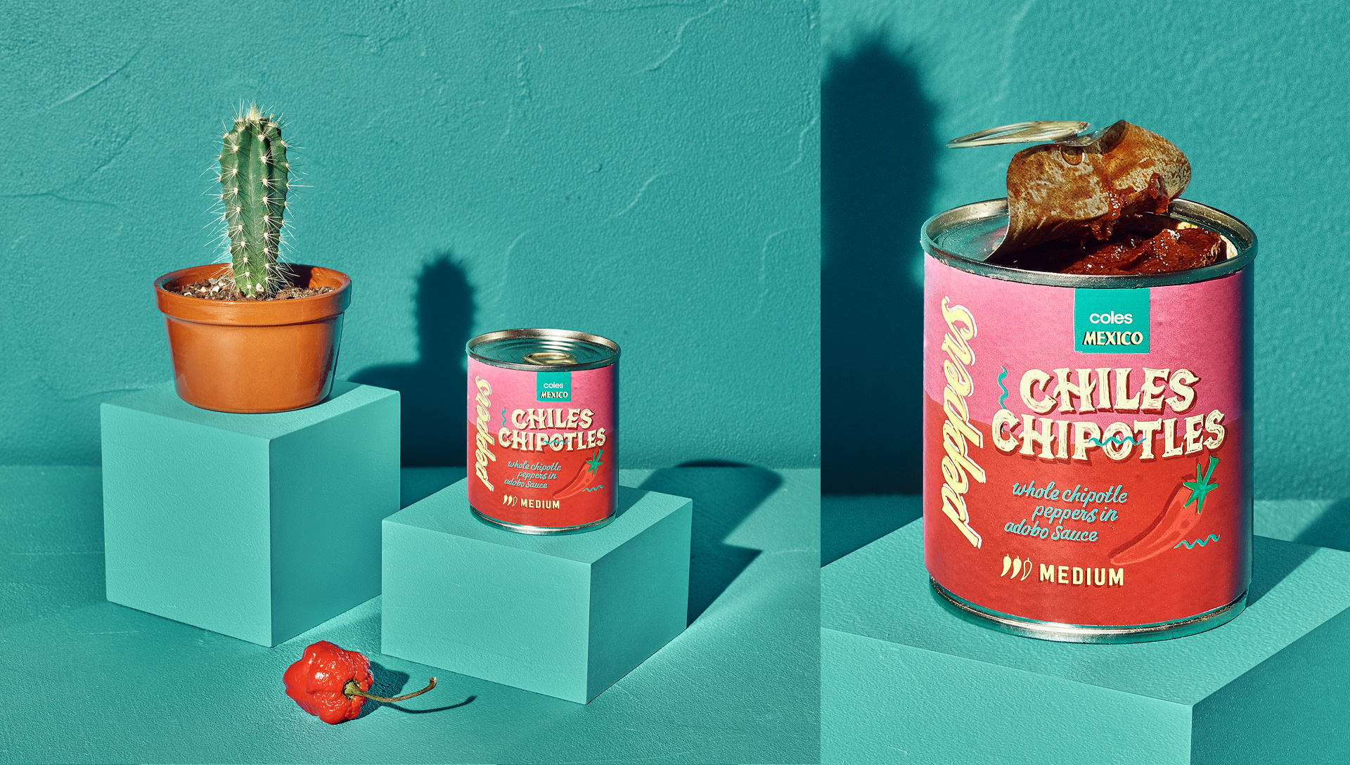 Coles World Flavours Helps Consumers Travel The World