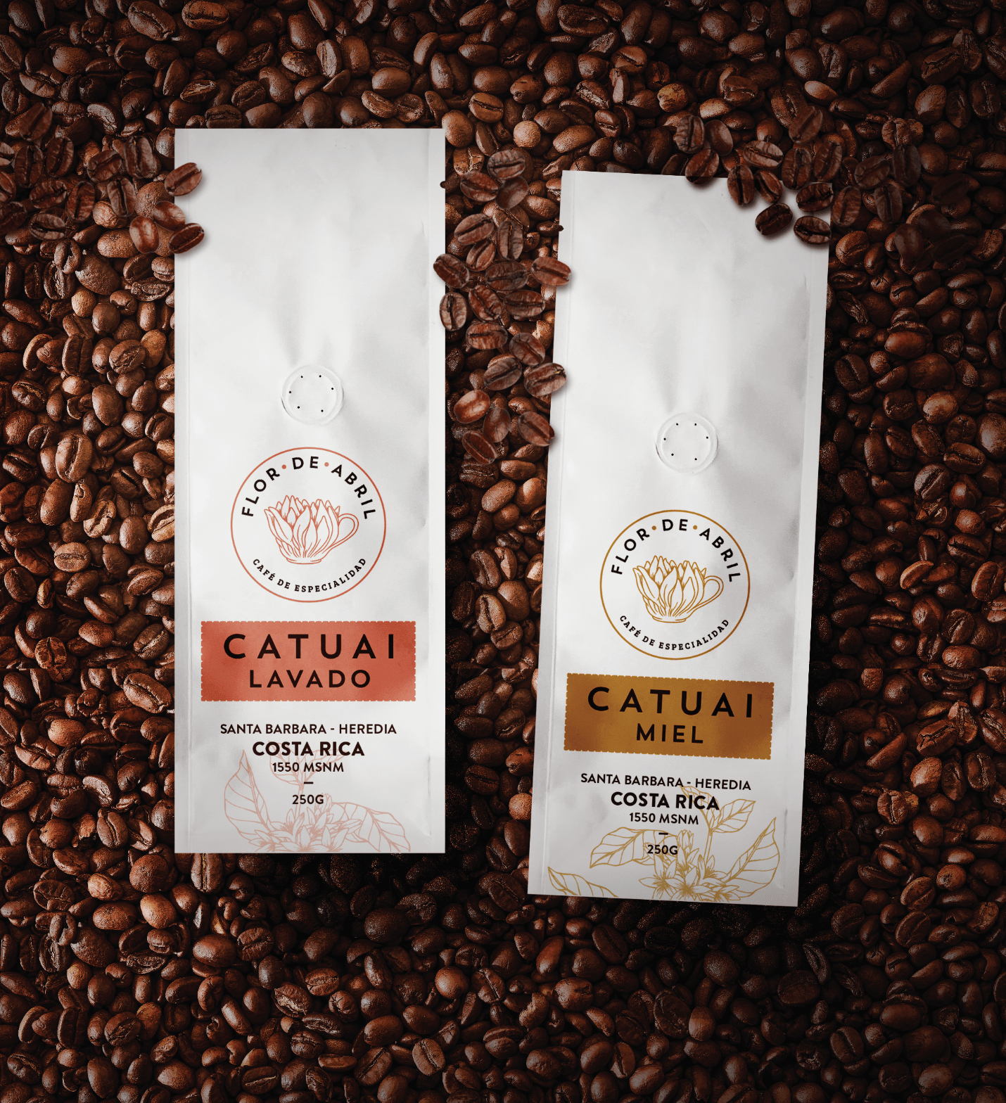 Editorial photograph