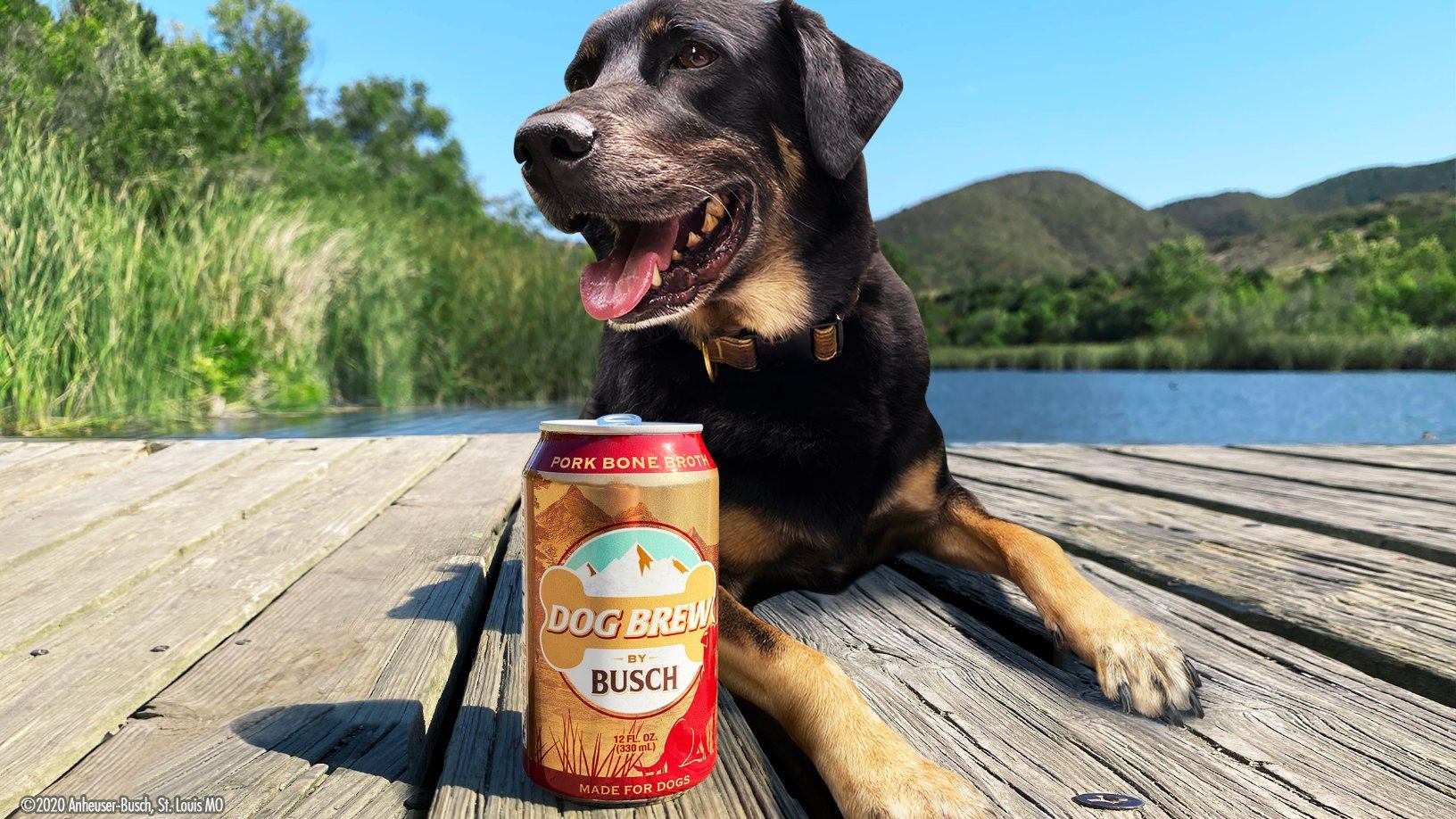 Busch Creates A Special ‘Beer’ For Dogs, Because Fido’s Earned A Cold One