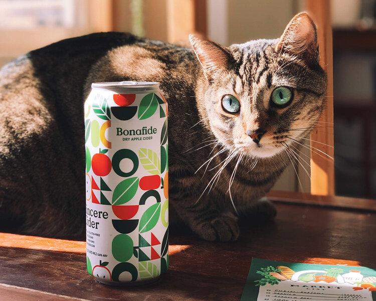 Editorial photograph