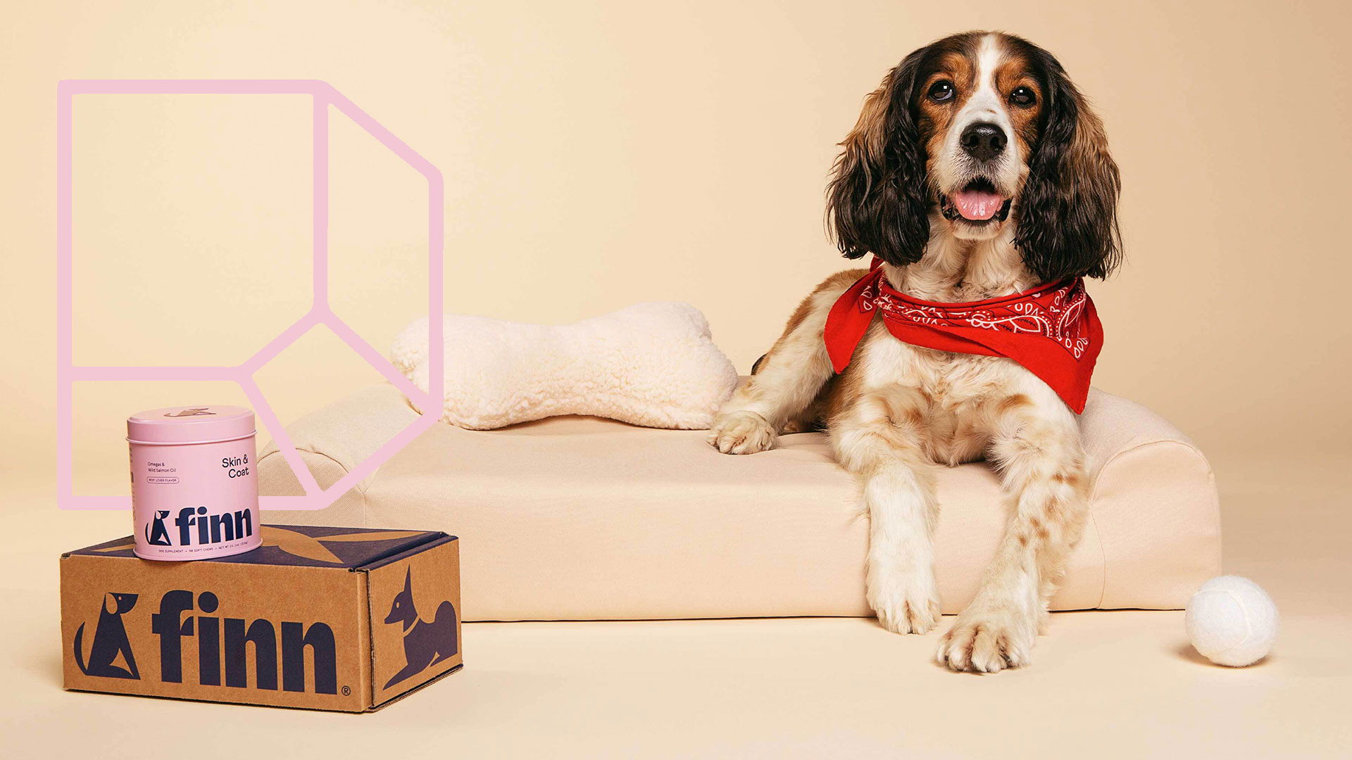How Gander Designed A Pet Wellness Brand For The Modern Pup