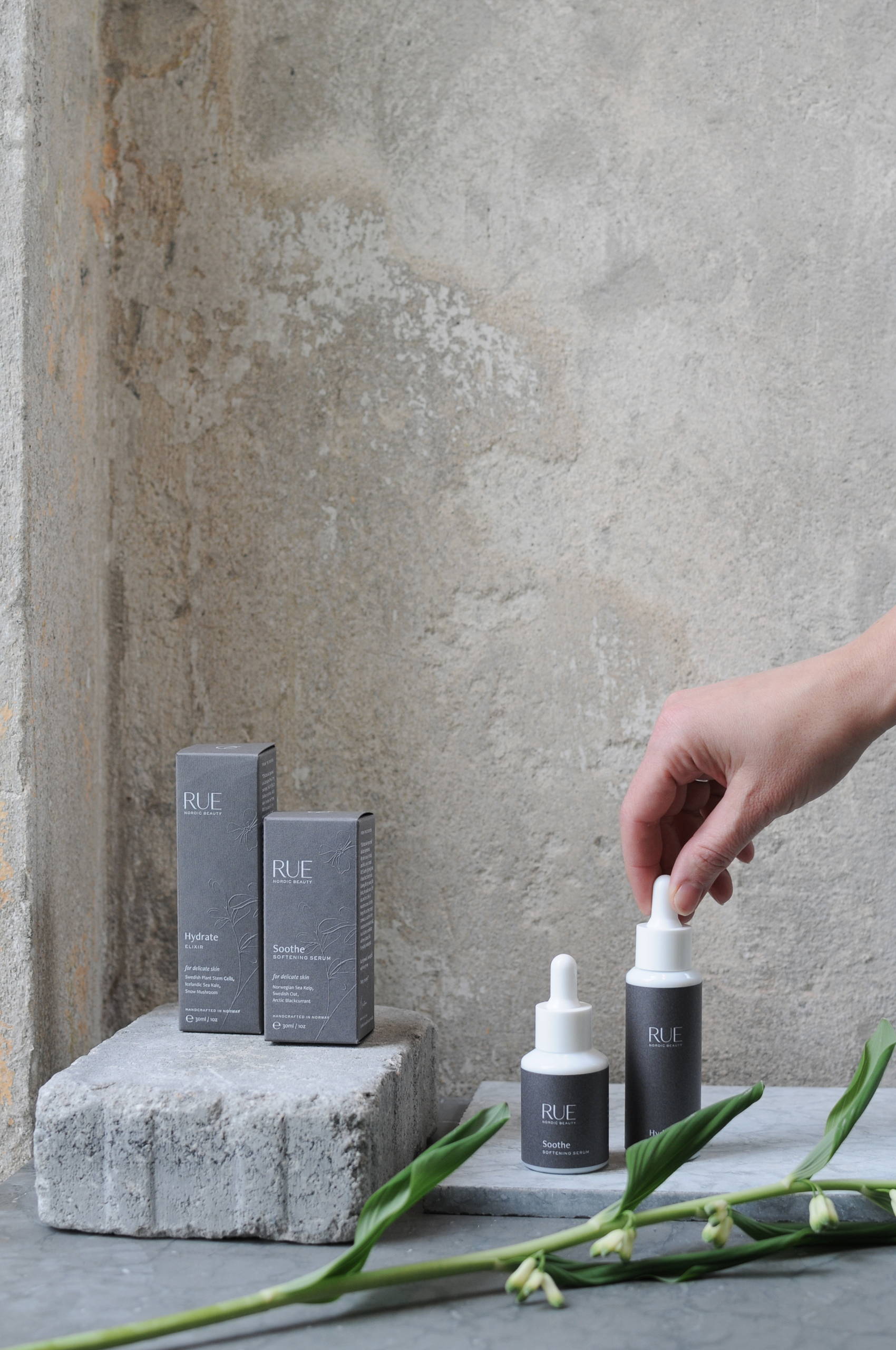 Rue Nordic Beauty: Plant Seeds Of Beauty