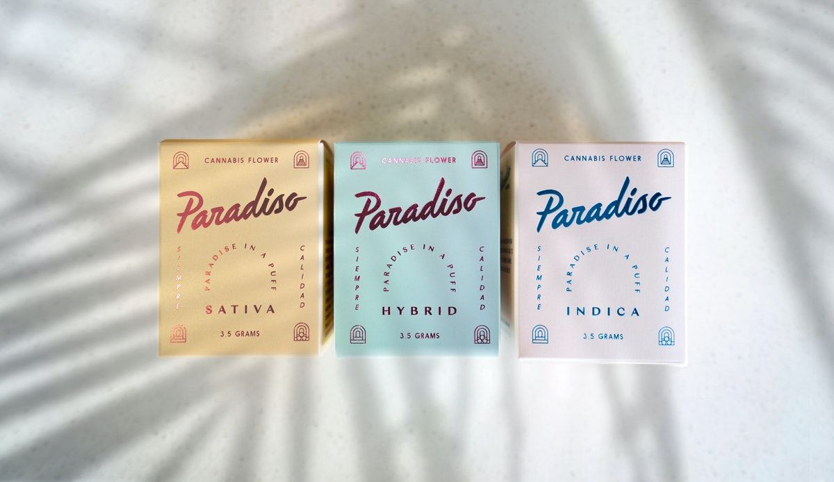 Paradiso Radiates Vacation Vibes