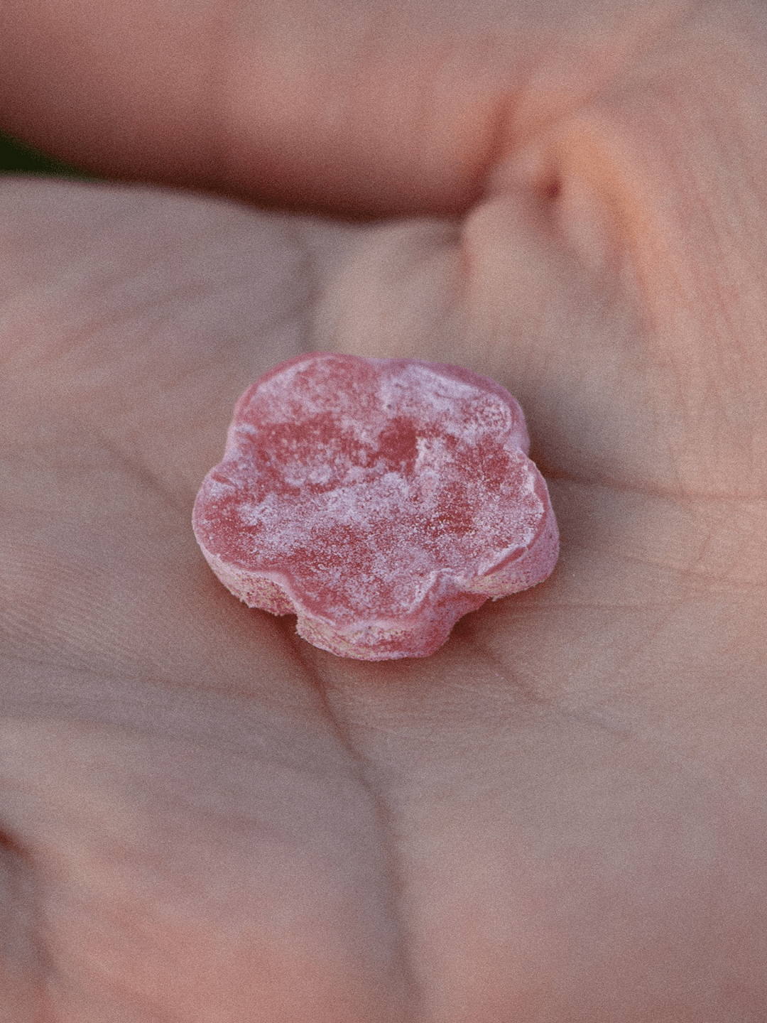 Editorial photograph