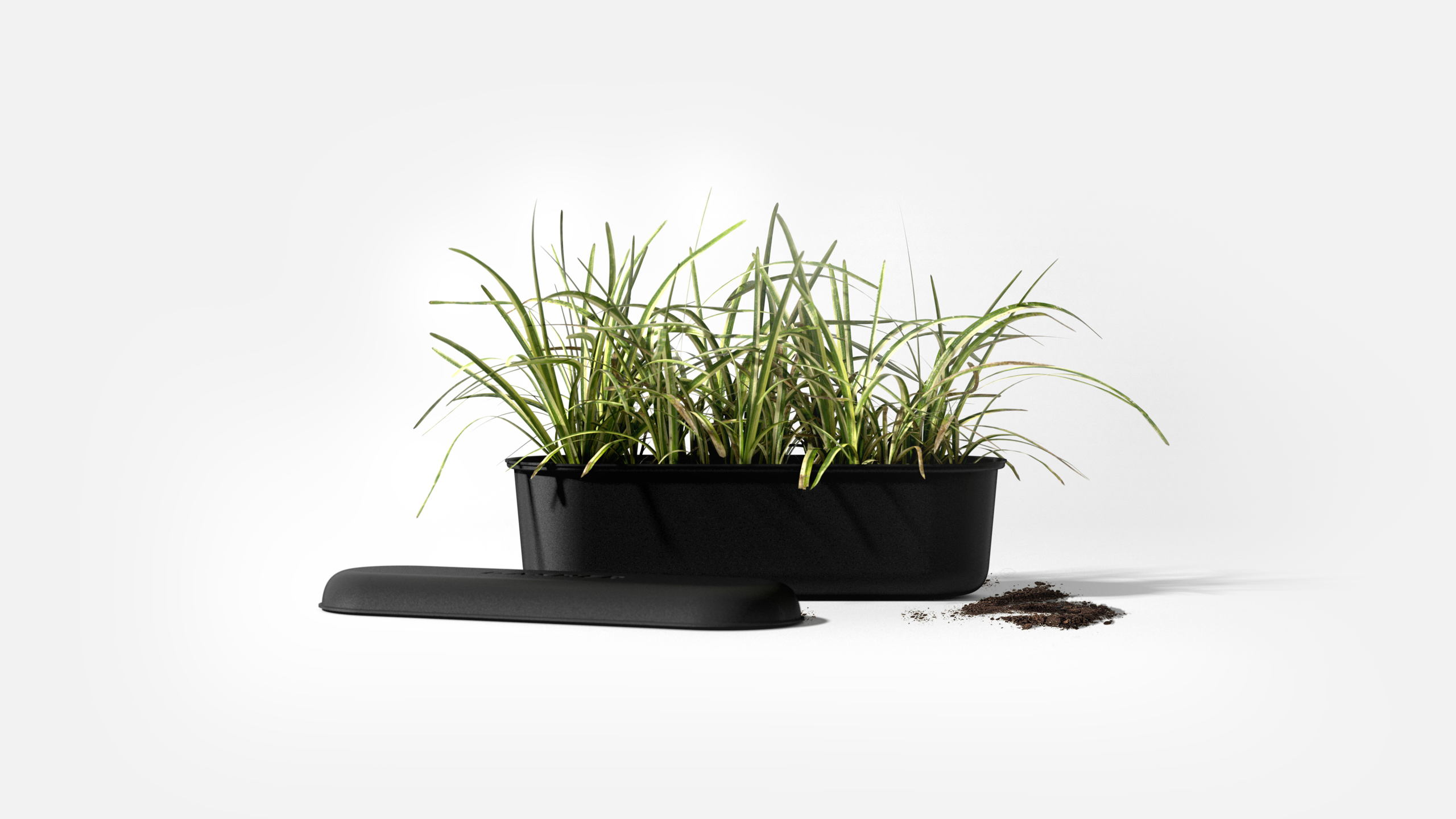 Editorial photograph