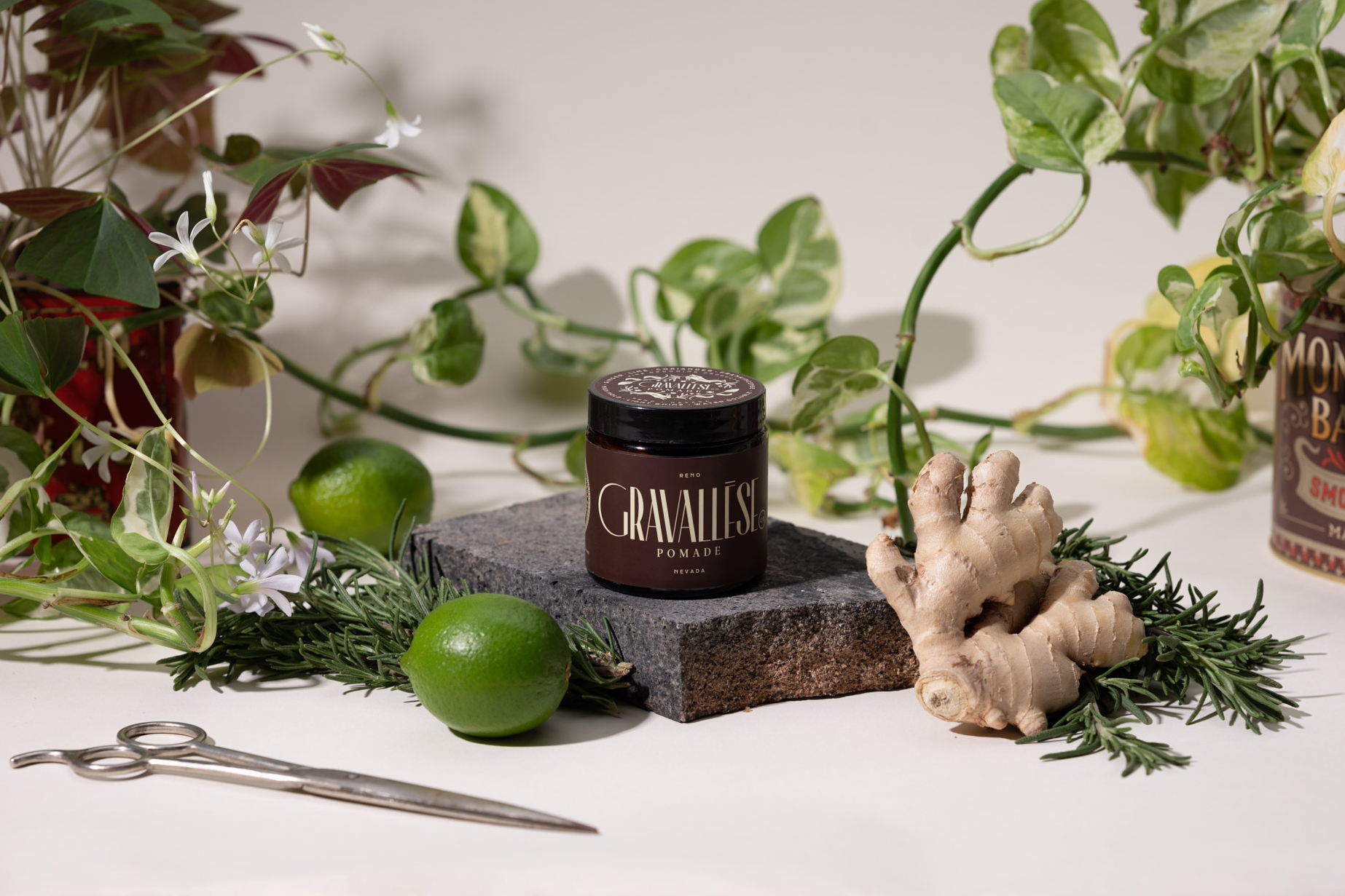 Editorial photograph