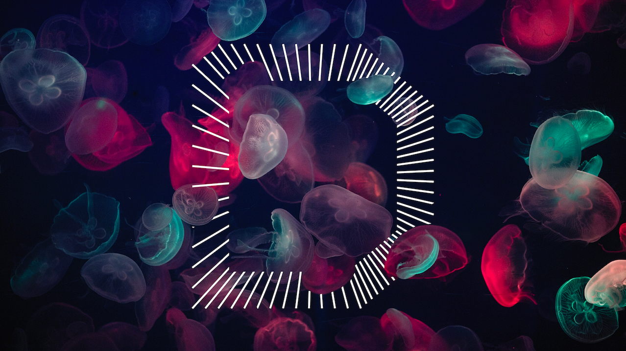 Wasted To Wanted: How To Brand Unlikely Snacking Alternatives