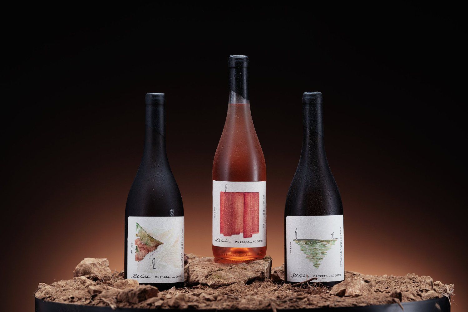 From Earth to Glass: Paul Coutinho Wine