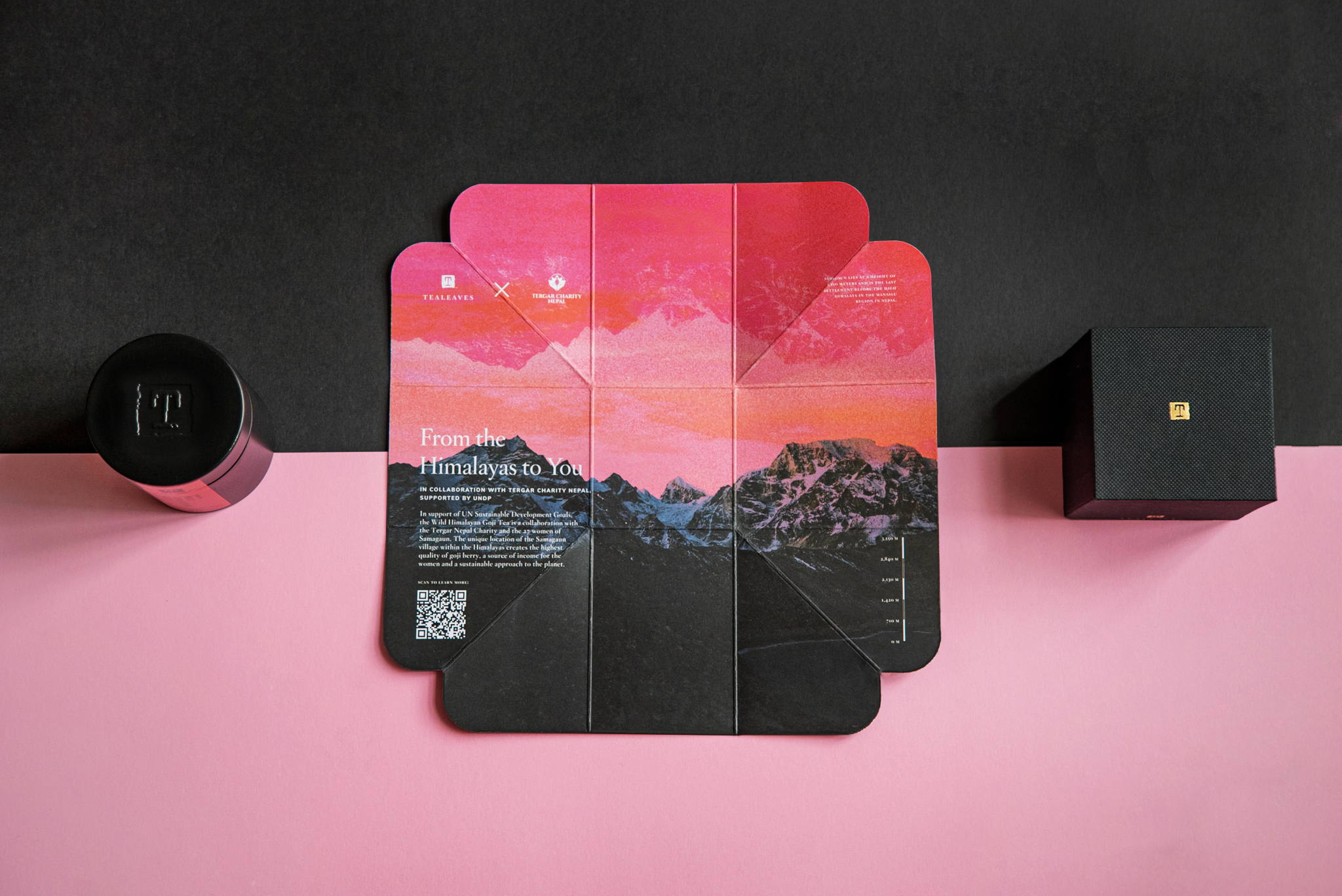 TEALEAVES Transports You to The Himalayas