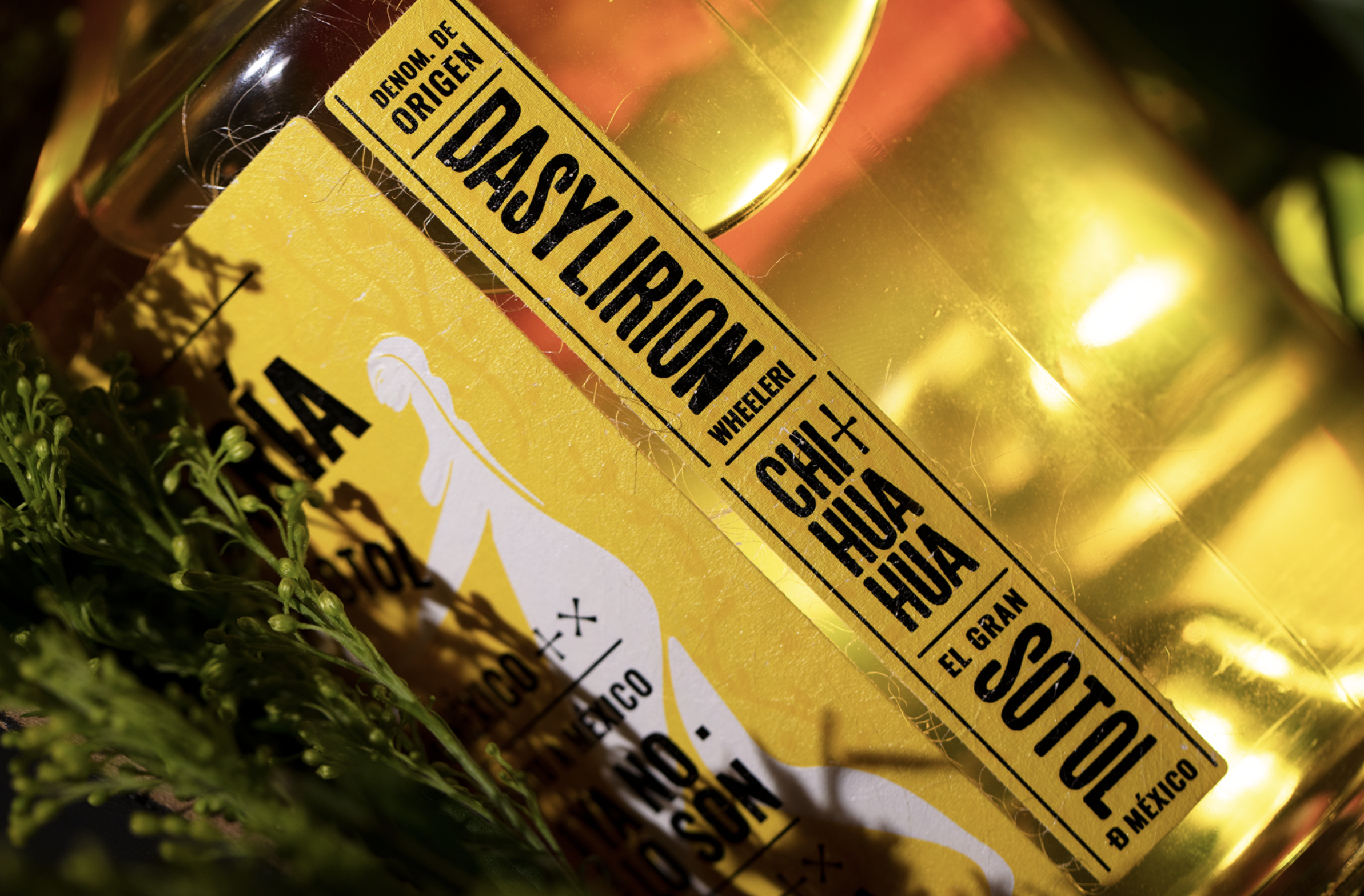 Editorial photograph