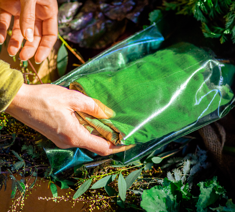 Screen Shot 2023-03-01 at 5.00.43 PM.png