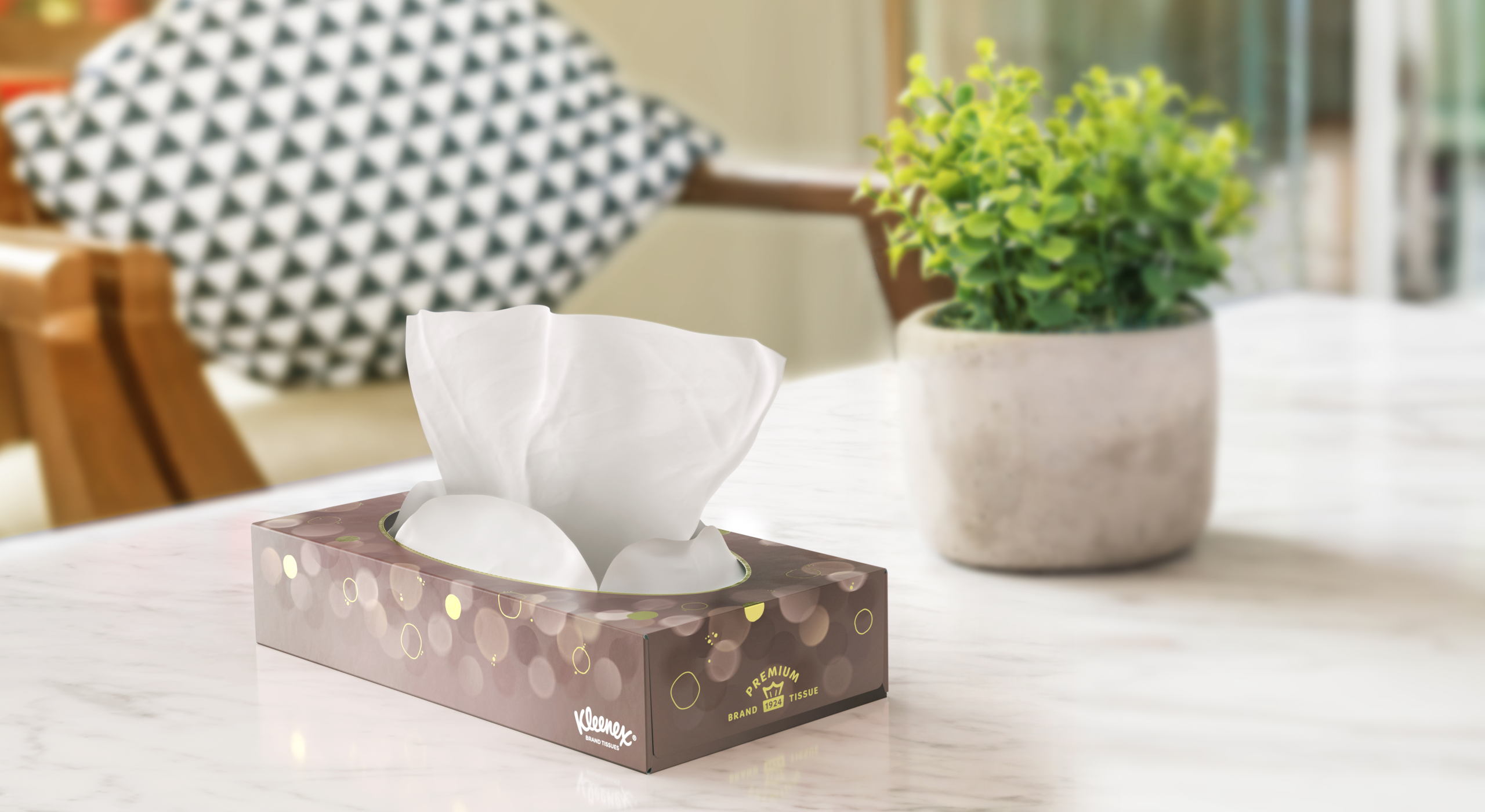 Kleenex_Apheleia_CS_In_Home_Stg03A RT 3.jpg