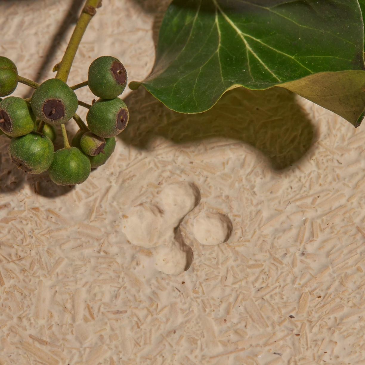 Maxipos Reveals Eco-Friendly Packaging For Mirror Water, A Sustainable Path To Self Care