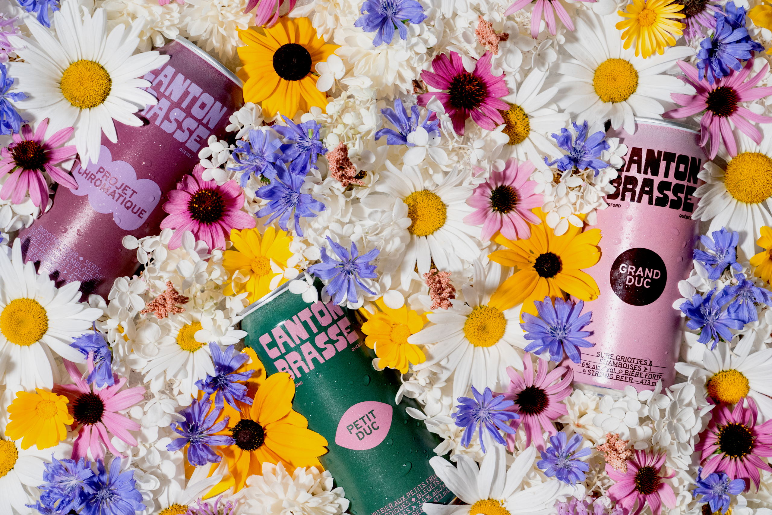 Canton Brasse Microbrewery’s Cans Implement The Ideal Amount Of 70s Kitsch