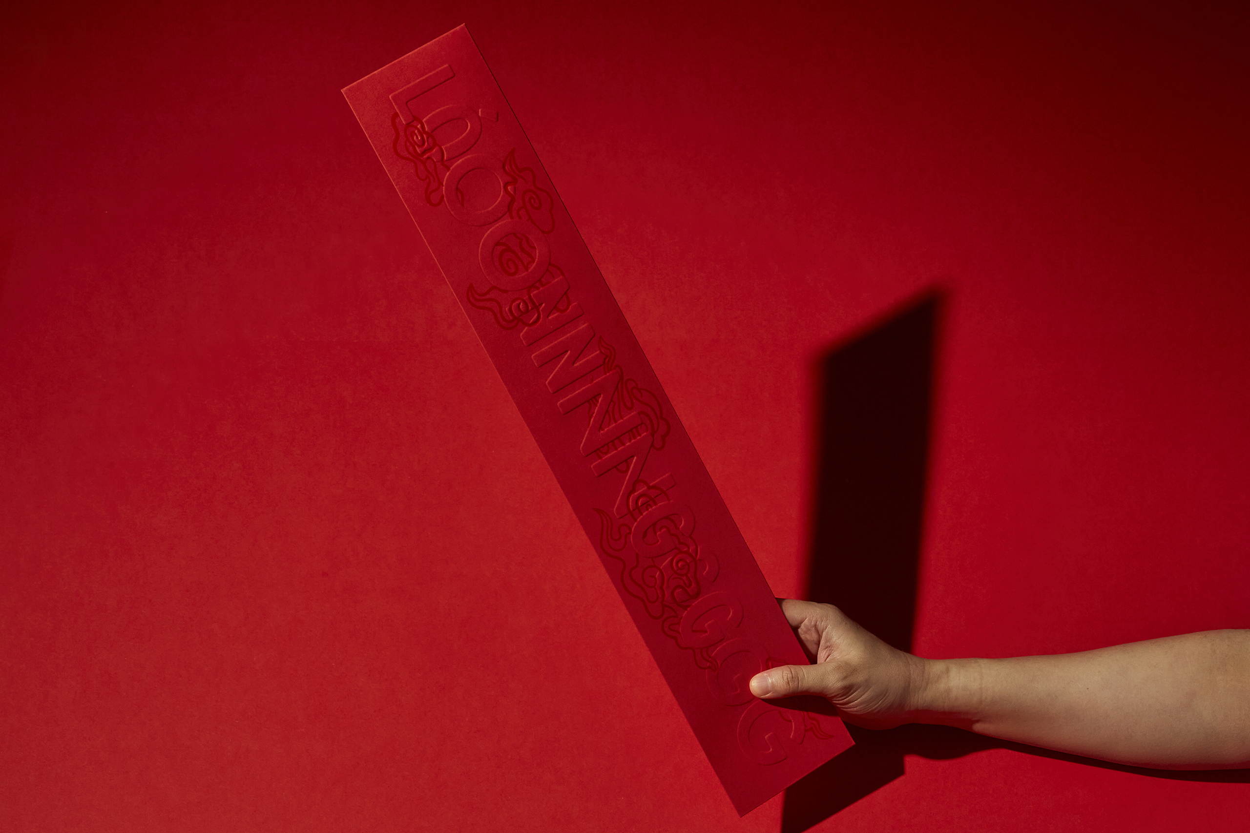 1. TSLA—Long Bao Hero.jpg