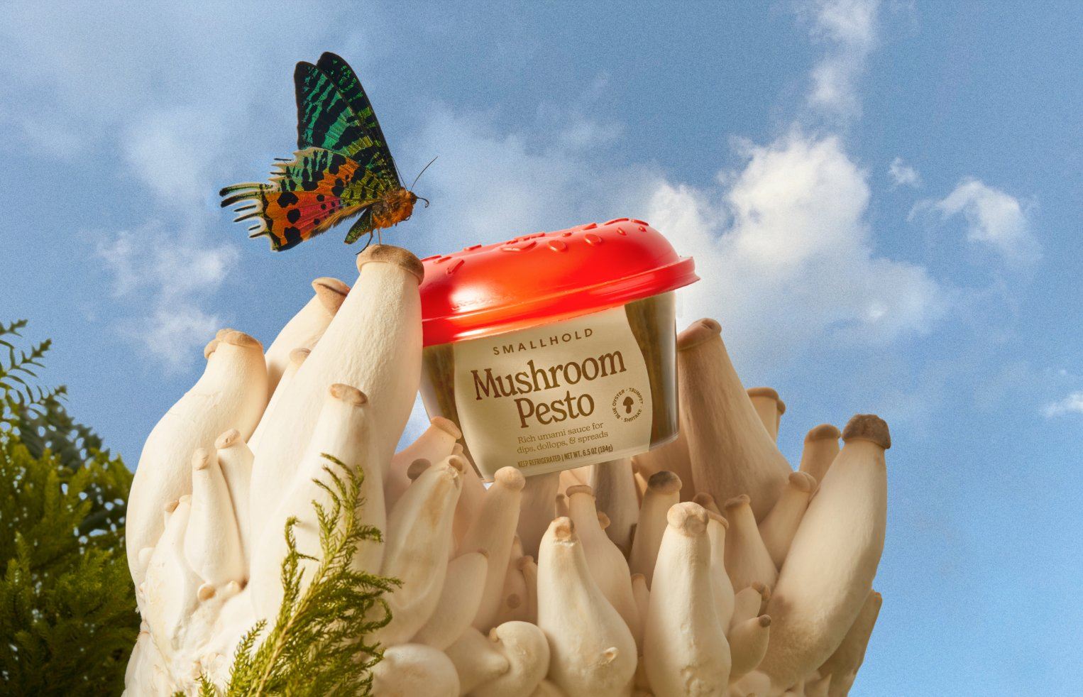 Add Some Cottagecore Cuteness to Your Kitchen with This Cheeky Mushroom Pesto