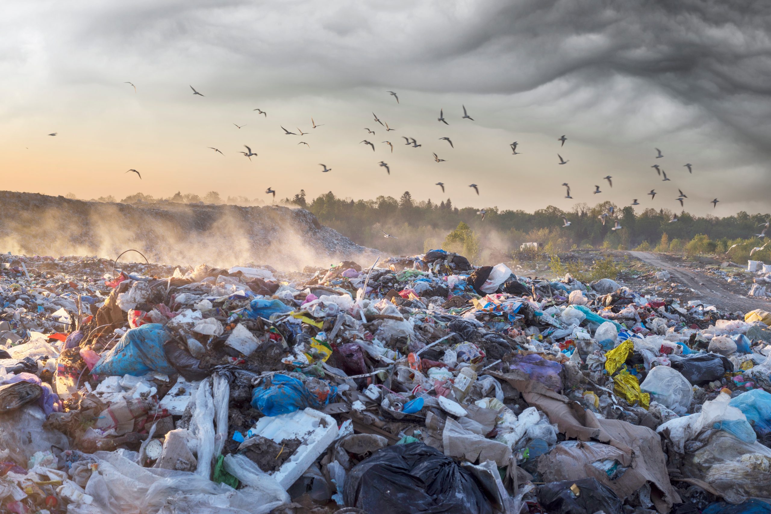White House Announces Comprehensive Action Plan Against Plastic Pollution