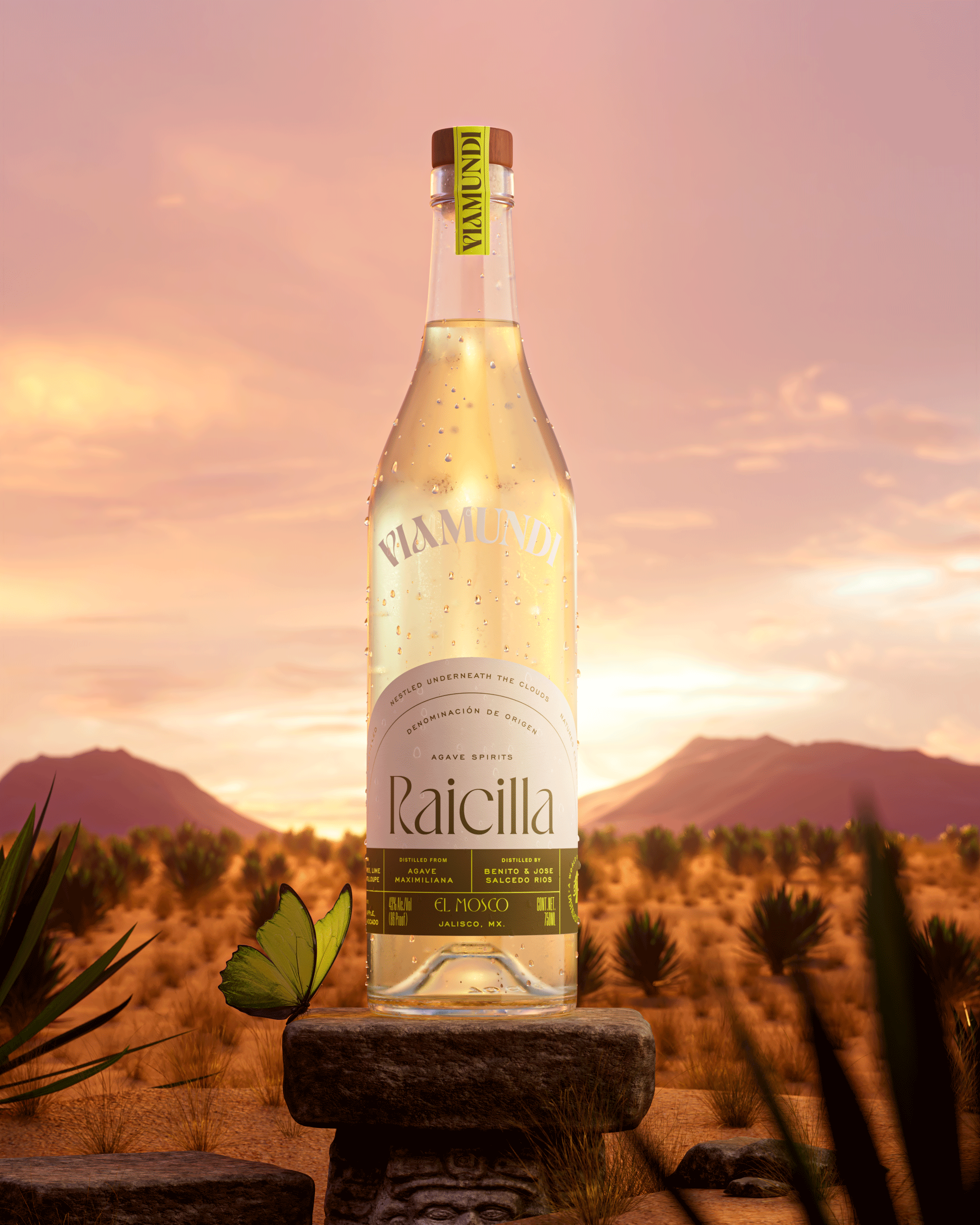 Kingsland Evokes Magical Realism For Viamundi Spirits