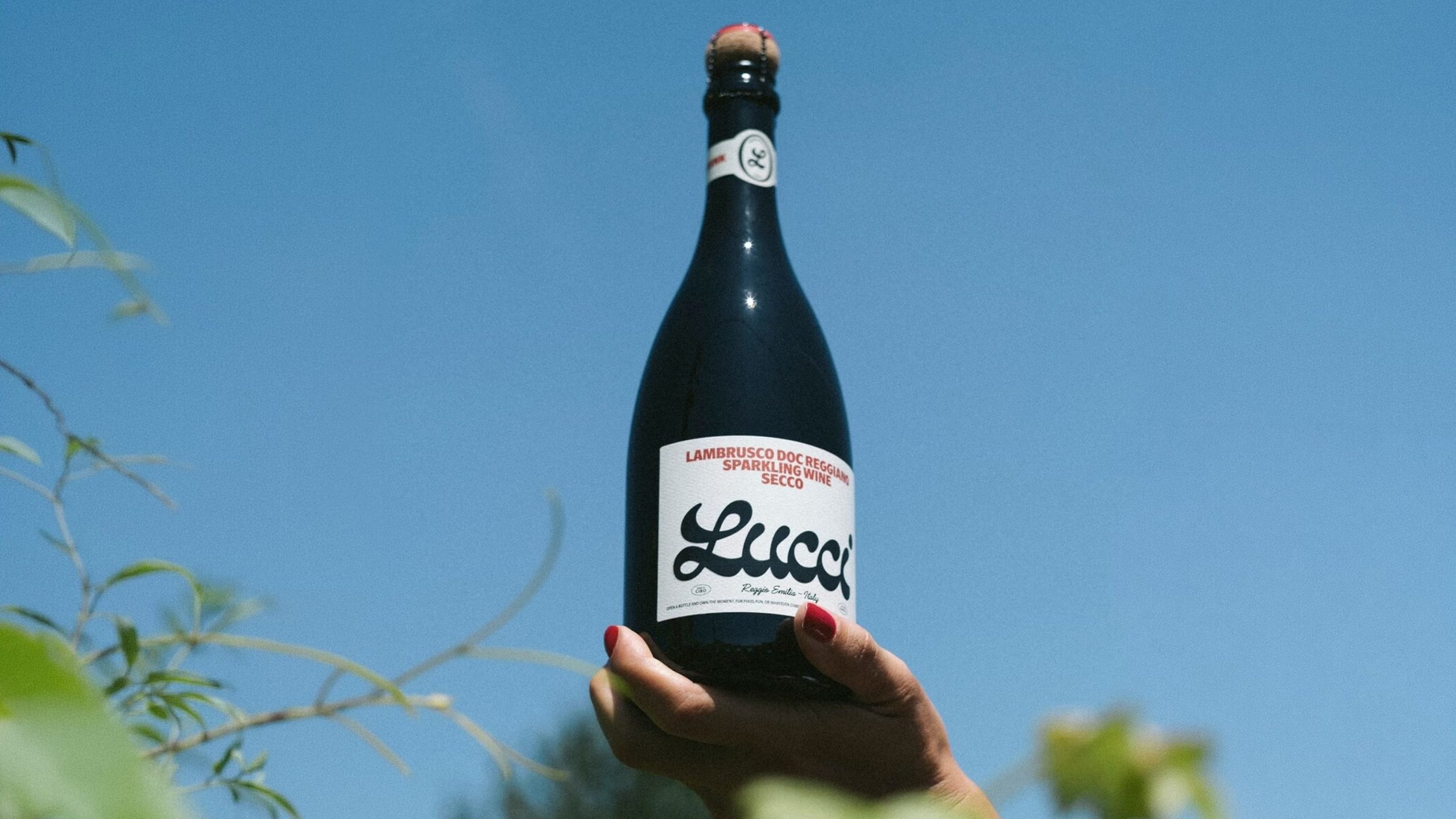 Lucci’s Visual System Is Strong On The Shelf And The Screen