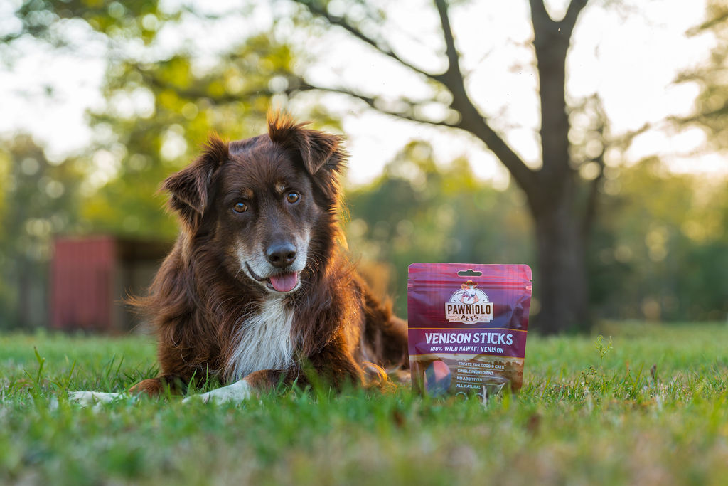  TIPA Helps Create Home-Compostable Packaging for Pawniolo Pets