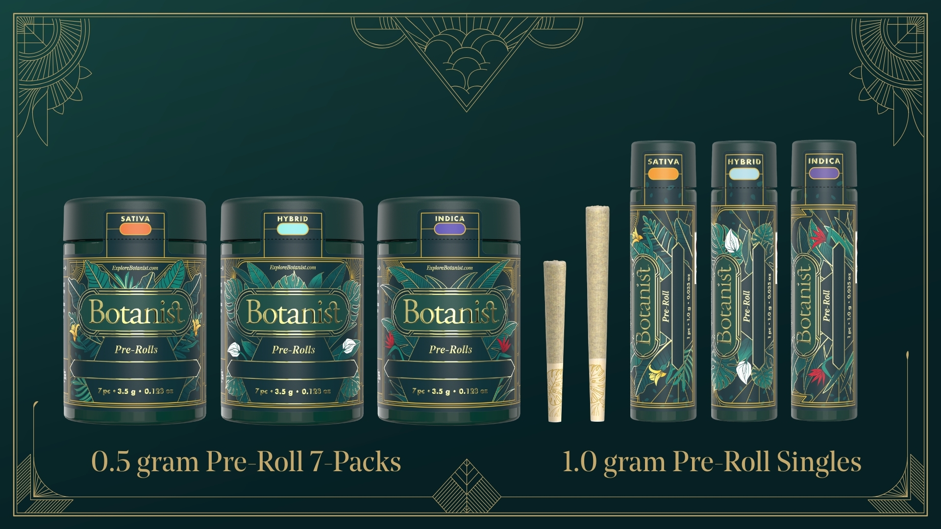 Art Deco Meets An Elevated Jungle Aesthetic For Botanist Jungle’s Rebrand