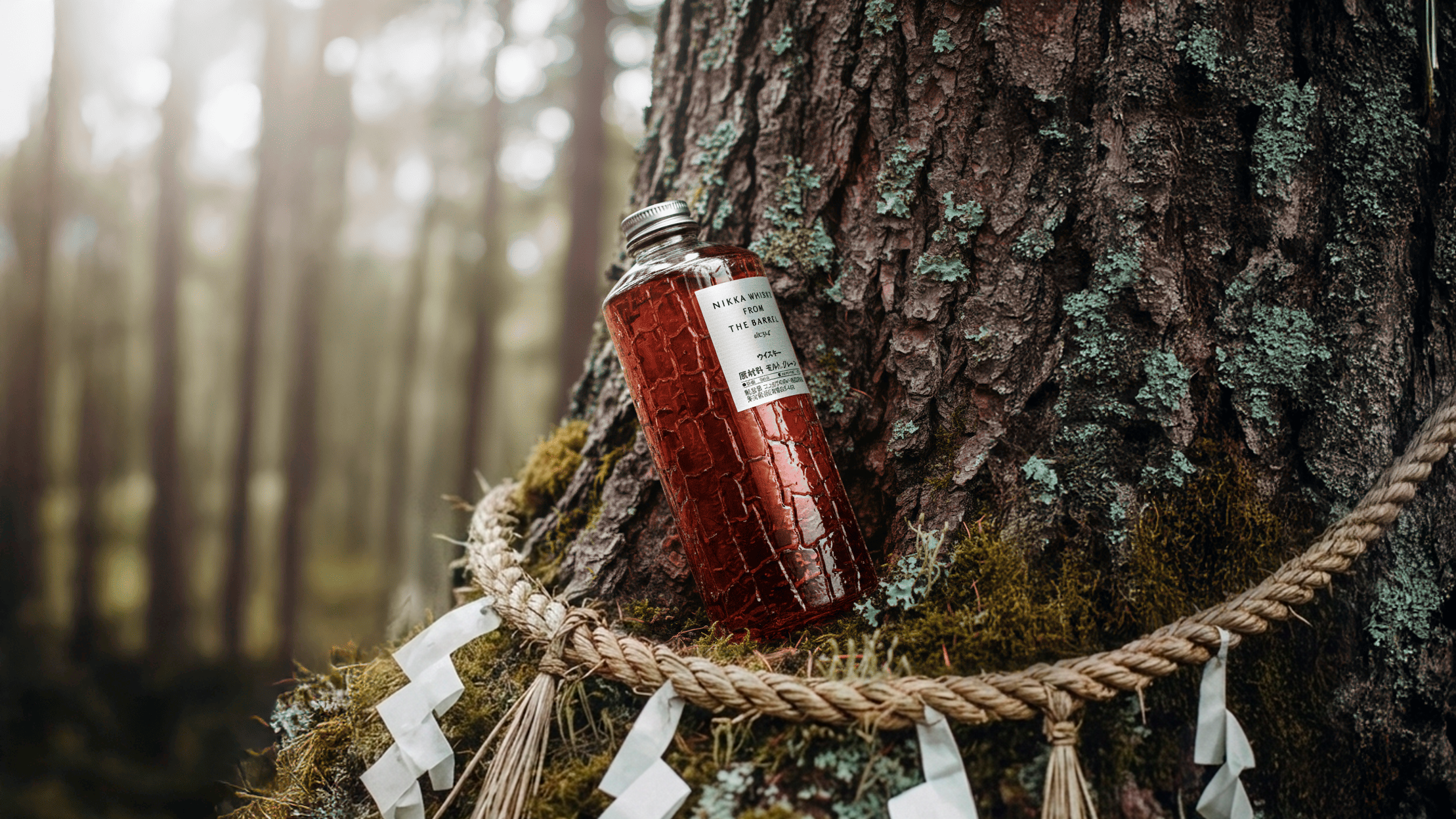 A Conceptual Redesign for Nikka Questions If A Redesign Is Necessary At All