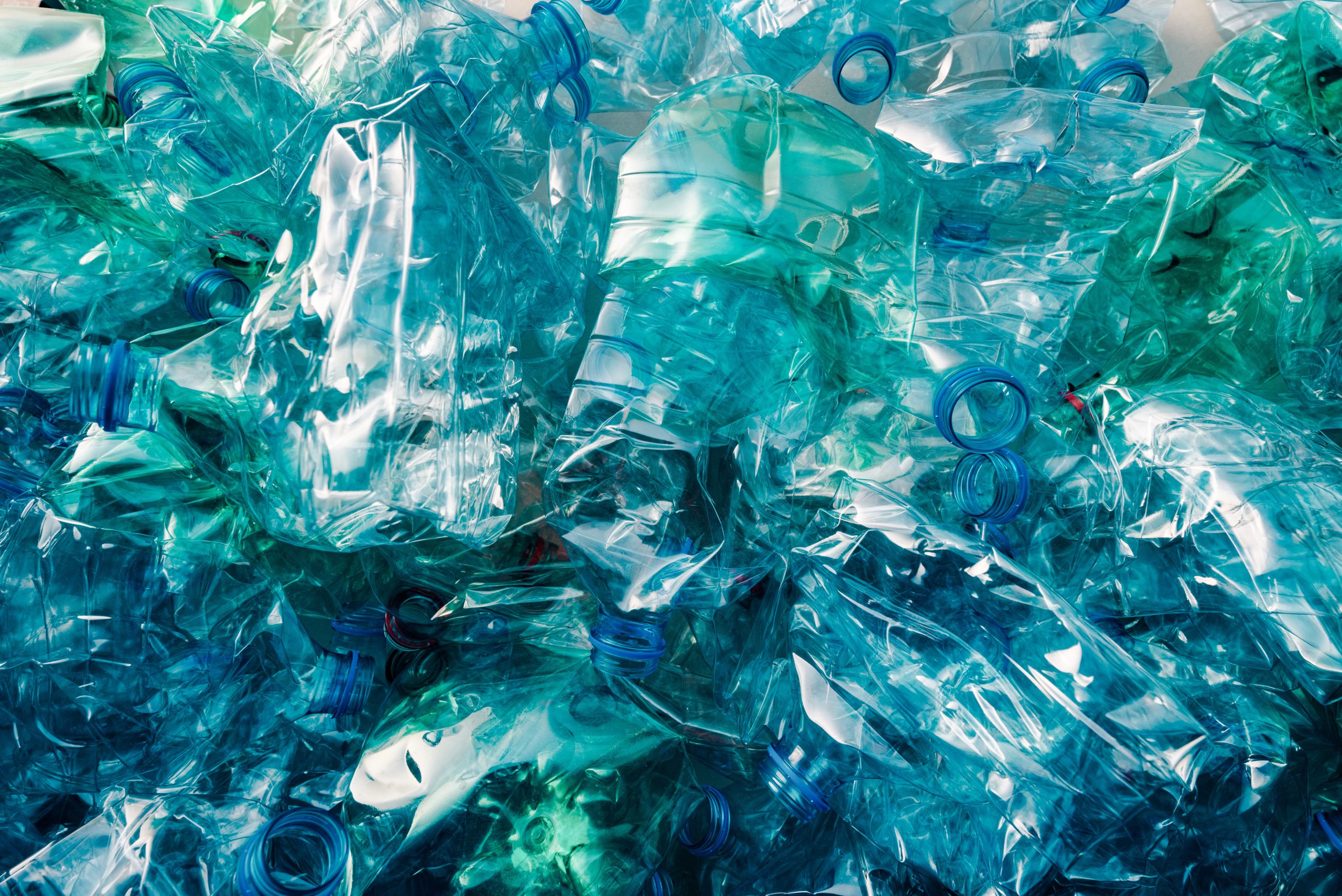 Texas A&M Study Finds This Common Food Plastic Increases Your Chance of Developing Liver Disease