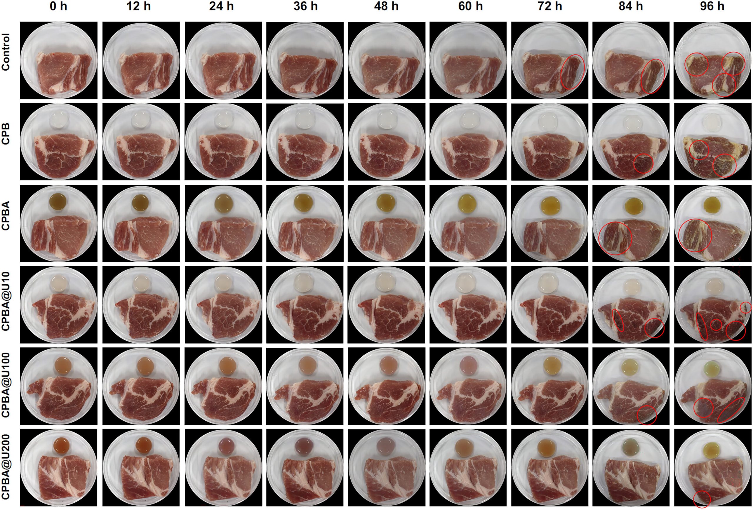What If Packaging Could Detect Spoiled Food AND Self-Heal?