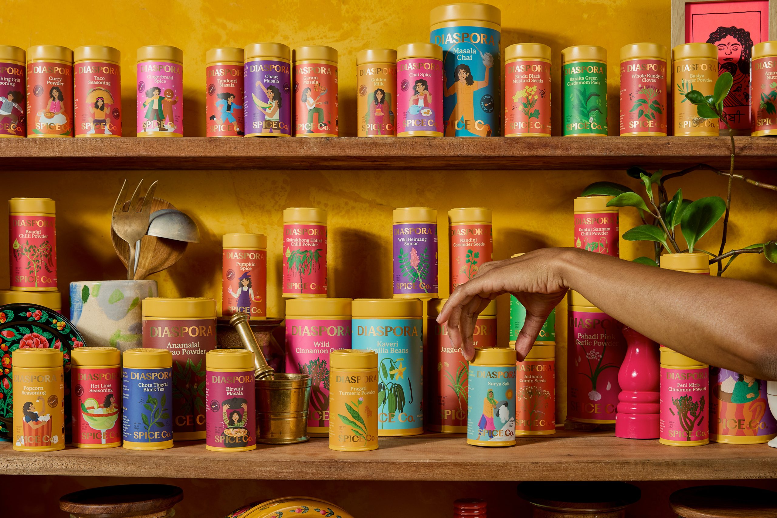 Diaspora Spice Co. Puts Its Roots on Display With Colorful Rebrand